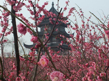 三月女人天，別樣?jì)D女節(jié)